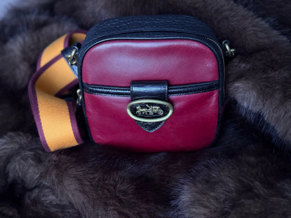 Nika Privé Coach Kat Camera Bag in Colorblock Leather compact crossbody bag