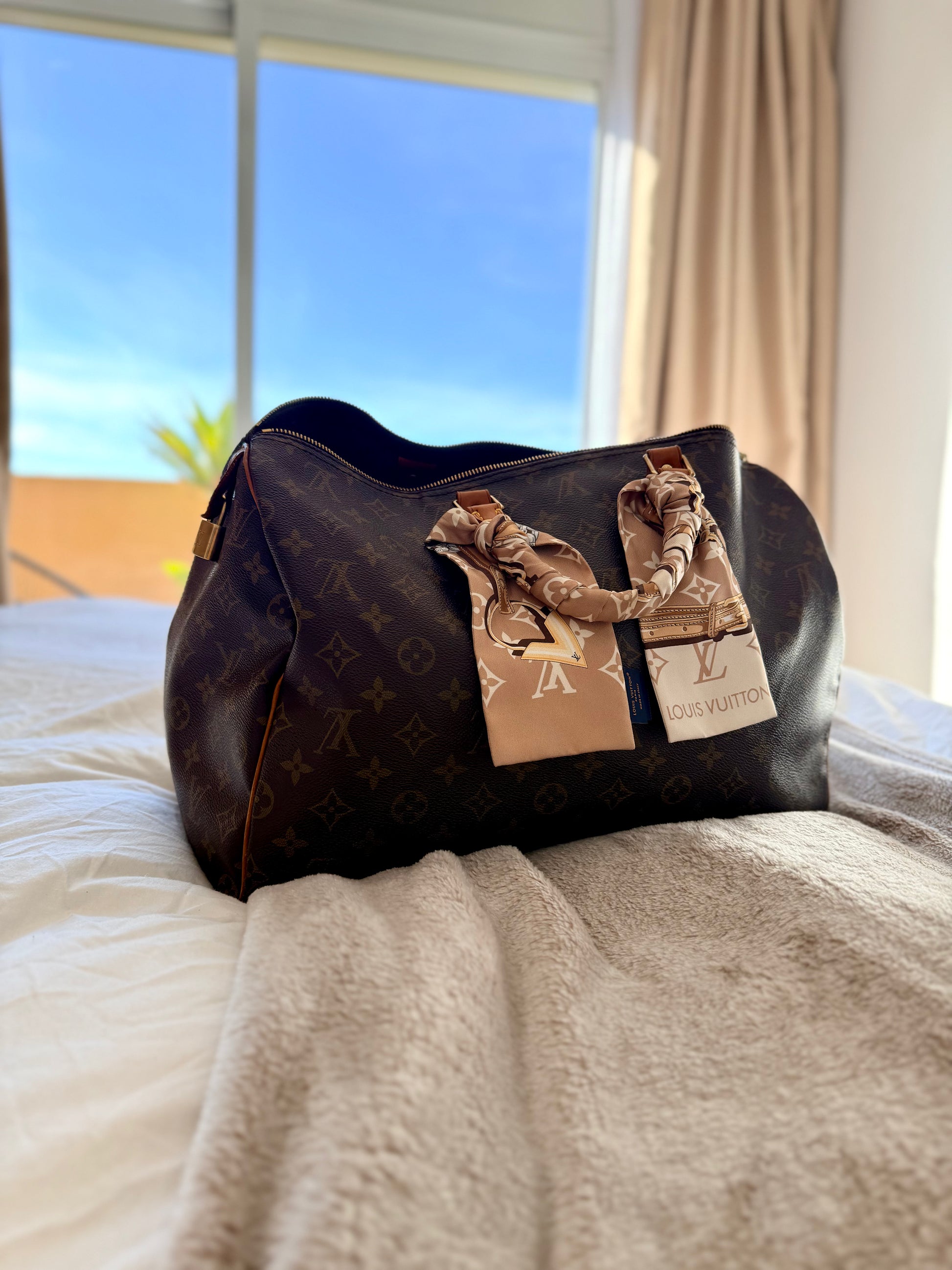 Nika Privé — Louis Vuitton Speedy 40 in Monogram Canvas, classic large travel bag